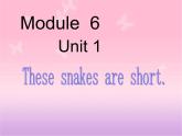 外研版小学英语（一起）一下Module 6《Unit 1 These snakes are short》ppt课件（5份打包）