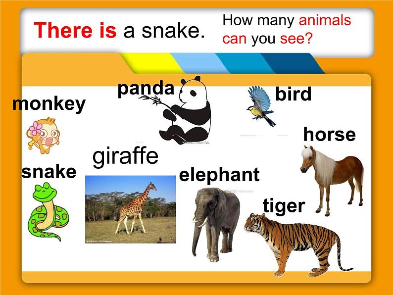 外研版小学英语（一起）一下Module 7《Unit 1 There is a cat in the tree》ppt课件（5份打包）02