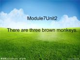 外研版小学英语（一起）一下Module 7《Unit 2 There are three brown monkeys》ppt课件（4份打包）
