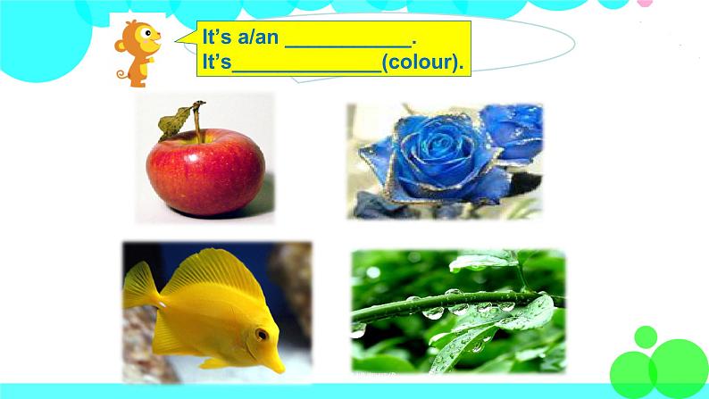 牛津上海版英語1年级上册 Module 4 Unit 12 PPT課件05