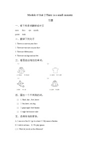 小学英语Unit 2 There is a small monster.复习练习题