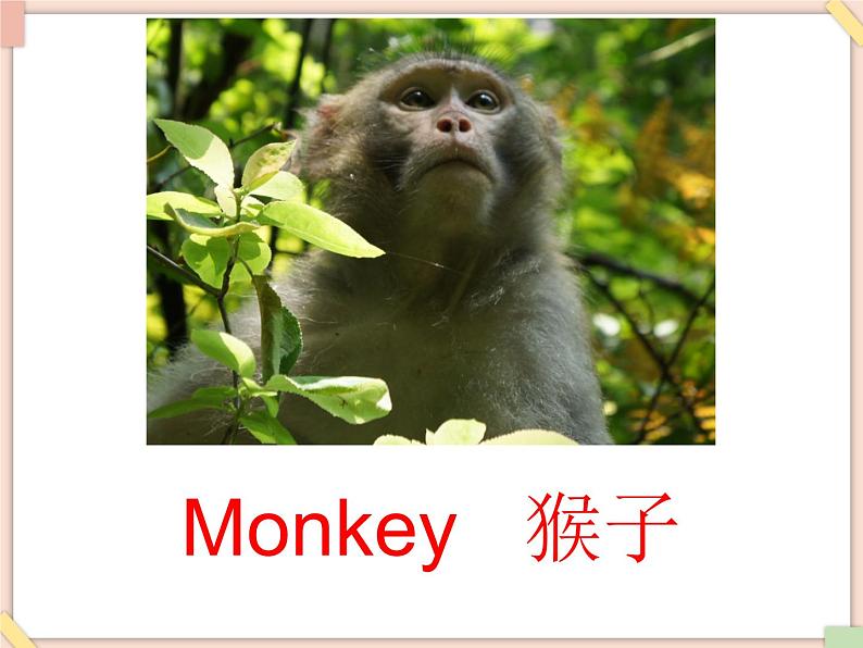 北京版英语二年级上册Unit4 There are many animals. Lesson 15 课件06