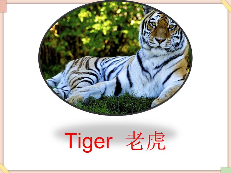 北京版英语二年级上册Unit4 There are many animals. Lesson 15 课件08