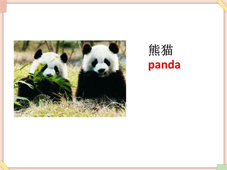 Unit 3 It has two big eyes——词汇第4页