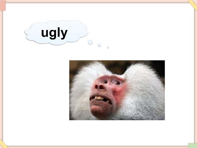 Unit 9 This is my fish 课件第4页