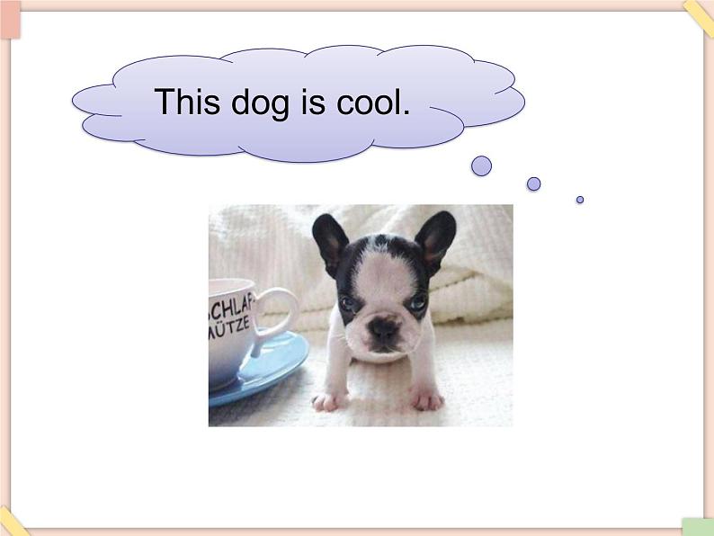 Unit 9 This is my fish 课件第6页