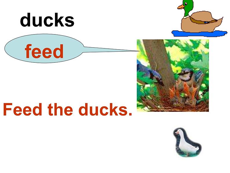 外研版(一起)小学英语四年级下册同步课件《Module 1Unit 2 Don't feed the fish!》（3份打包）07