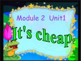 外研版(一起)小学英语四年级下册同步课件《Module 2Unit 1 It's cheap.》PPT课件
