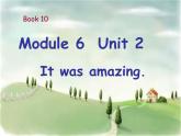 外研版(一起)小學(xué)英語(yǔ)五年級(jí)下冊(cè)同步課件《Module6Unit 2 It was amazing.》