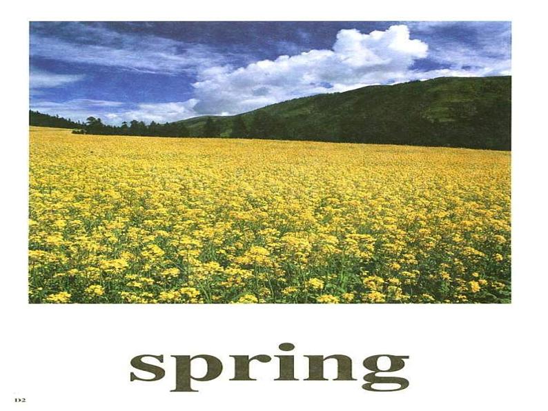 外研版(一起)小学英语五年级下册同步课件《Module4Unit 2 My favourite season is spring.》（4份打包）03