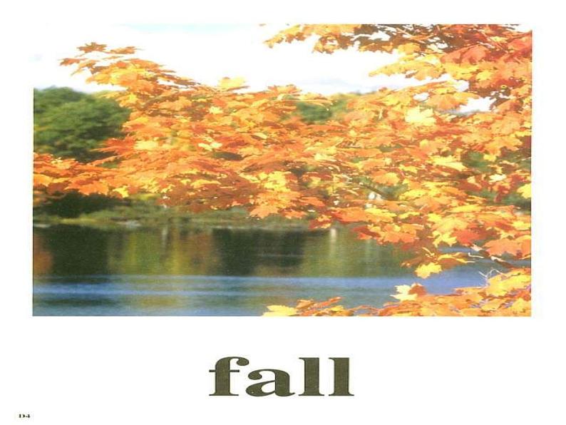 外研版(一起)小学英语五年级下册同步课件《Module4Unit 2 My favourite season is spring.》（4份打包）05