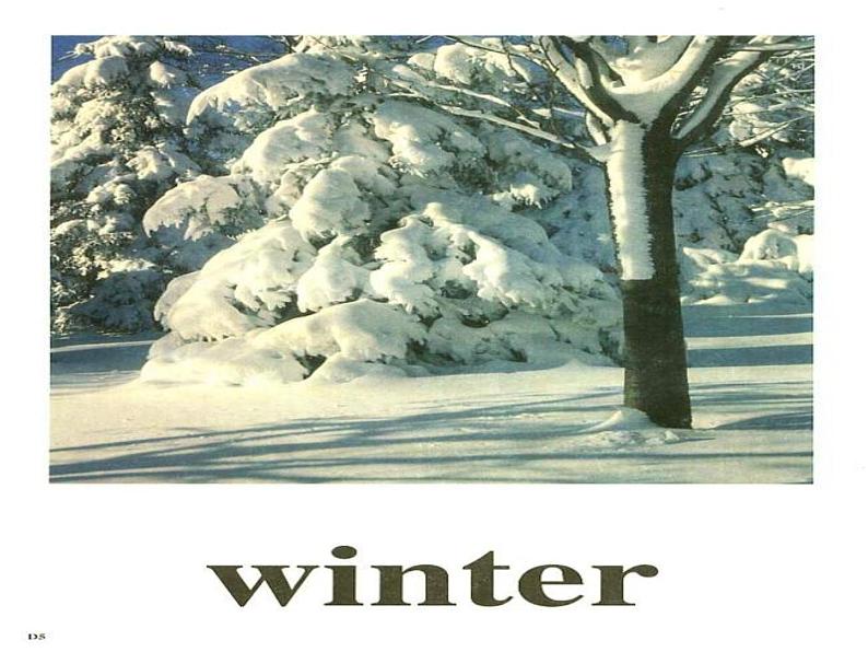 外研版(一起)小学英语五年级下册同步课件《Module4Unit 2 My favourite season is spring.》（4份打包）06