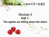 外研版(一起)小学英语六年级下册《Module 4Unit 2 The apples are falling down the stairs.》PPT课件