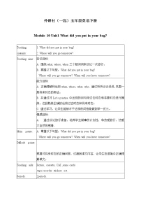 外研版 (一年级起点)五年级下册Module 10Unit 1 What did you put in your bag ?教案设计