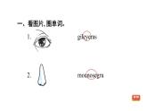 人教精通版三起三年級(jí)英語(yǔ)上冊(cè)Unit3LookatmynoseLesson13習(xí)題課件