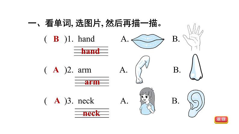 人教精通版三起三年级英语上册Unit3LookatmynoseLesson16习题课件03