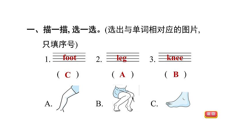 人教精通版三起三年级英语上册Unit3LookatmynoseLesson17习题课件03