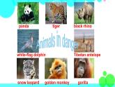 外研剑桥版英语6年级上册 Unit5 Animals in danger第4课时(5) PPT课件