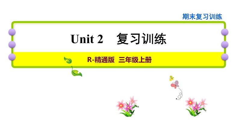 人教精通版三起三年级英语上册Unit2Thisismypencil复习训练课件01