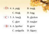 人教版（PEP）五年級(jí)英語(yǔ)下冊(cè)專項(xiàng)復(fù)習(xí)卷二語(yǔ)音與詞匯課件