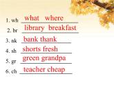 人教版（PEP）五年級(jí)英語(yǔ)下冊(cè)專項(xiàng)復(fù)習(xí)二語(yǔ)音與詞匯習(xí)題課件