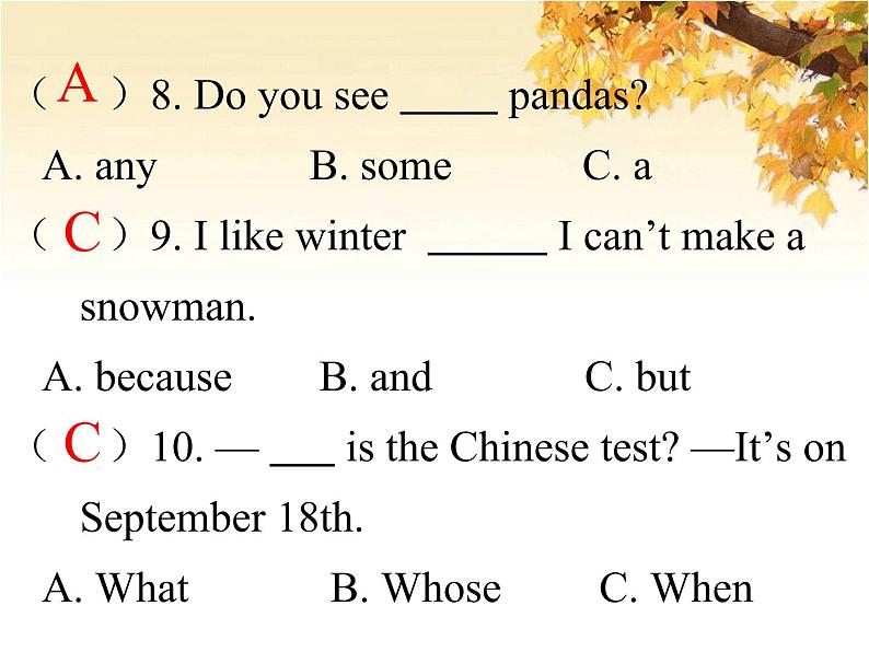 人教版（PEP）五年级英语下册专项复习三句子习题课件04