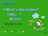 外研版(一起)小学英语六年级下册《Module 8Unit 2 Why are you wearing a hat》PPT课件