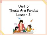 重大版小学四年级上册英语课件-unit 5 those are pandas  lesson 2课件