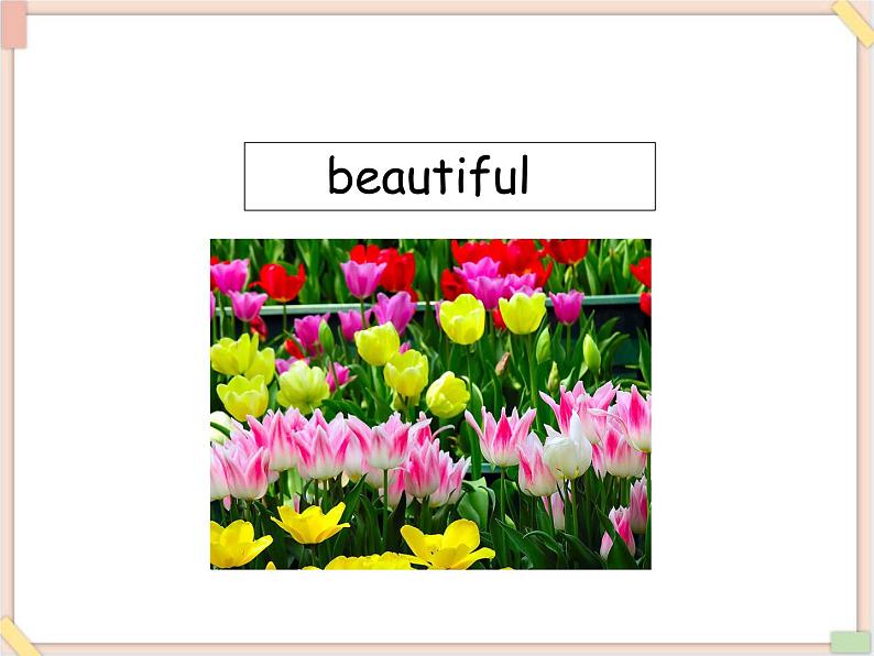 重大版小学四年级上册英语课件-unit 5 those are pandas  lesson 2课件03