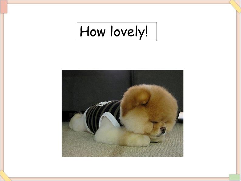 重大版小学四年级上册英语课件-unit 5 those are pandas  lesson 2课件08