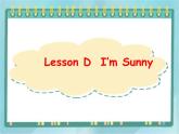 04三年级上册英语课件-Lesson D I'm Sunny ∣川教版(三年级起点)