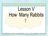 19三年级下册英语课件-Lesson V How Many Rabbits？ ∣川教版(三年级起点)