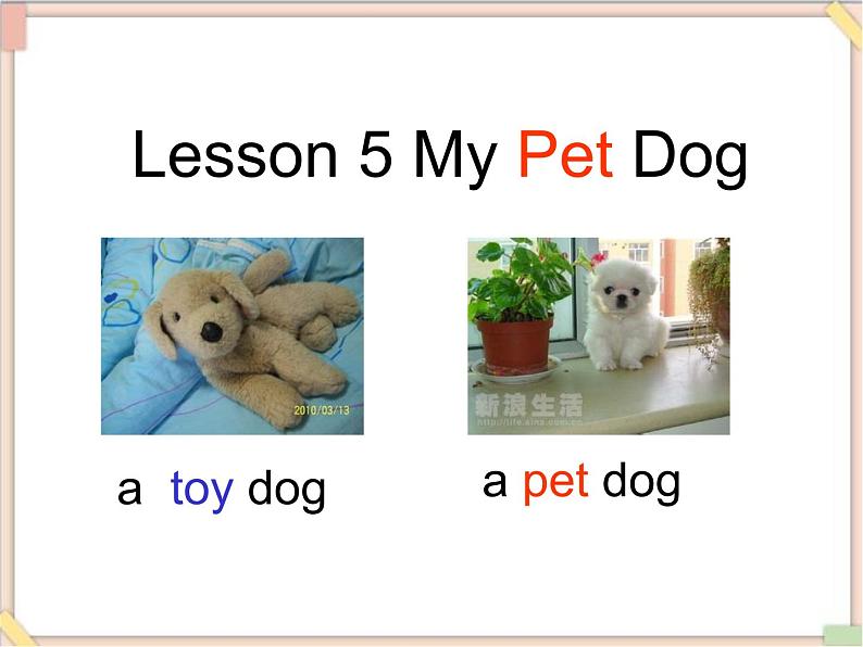 四年级上册英语课件-Unit 3 lesson 5 my pet dog 课件02