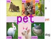 四年级上册英语课件-Unit 3 lesson 5 my pet dog 课件