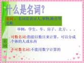 小学英语毕业总复习【第4讲】名词1ppt课件