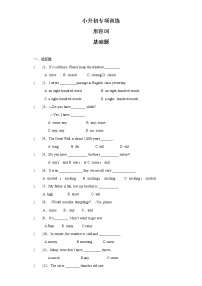 小升初英语知识专项训练（基础知识）-7.形容词通用版附答案解析