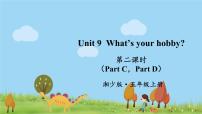 小学英语湘少版五年级上册Unit 9 What's your hobby?课文配套ppt课件