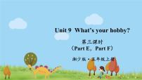 小学湘少版Unit 9 What's your hobby?课文内容ppt课件