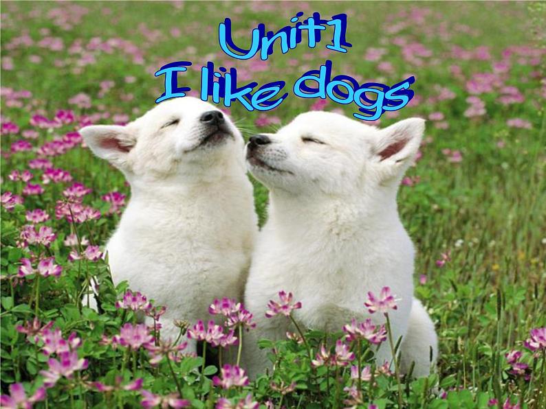 Unit 1 I like dogs 课件 2第1页