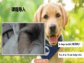 Module7 Unit1《He can't see》課件+教案