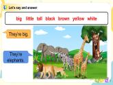 Unit 11 《Small animals》 Period 3 課件PPT+教案+練習(xí)