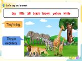 Unit 11 《Small animals》 Period 3 课件PPT+教案+练习