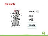 沪教英語3年級上冊 Module 4Unit 11 PPT课件