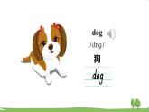 沪教英語3年級上冊 Module 4Unit 11 PPT课件