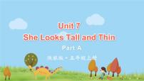 小学英语陕旅版五年级上册Unit 7 She looks tall and thin课文配套课件ppt