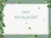 人教PEP六年級上冊Unit 6 How do you feel 知識點講解課件