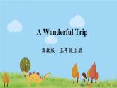 冀教5年級英語上冊 Reading for Fun  A Wonderful Trip PPT课件