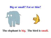 三年級下冊英語課件 Unit 2 Animals at the Zoo  Lesson  7 At the Zoo 冀教版(共13張PPT)