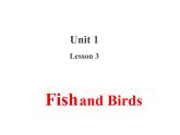 三年级下册英语课件 Unit 1Animals on the Farm Lesson  3 Fish and Birds 冀教版(共15张PPT)