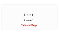 小学英语冀教版 (三年级起点)三年级下册Lesson 2 Cats and Dogs备课ppt课件
